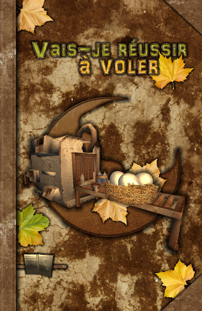Couverture du livre Vais-je réussir à voler ?